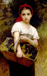 The Grape Picker